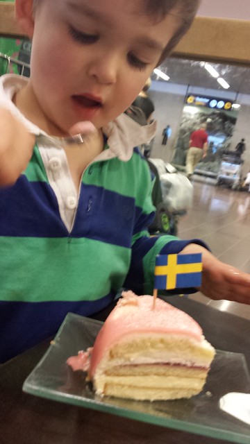 Eskil attacking Princess Cake.  He is in love.  #Sweden