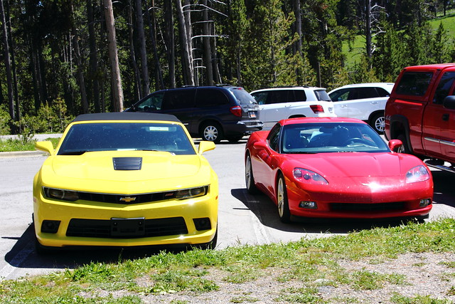 Camaro & Corvette