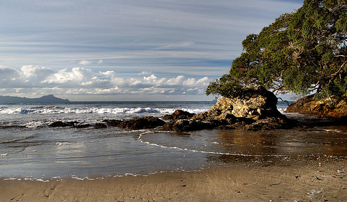 newzealand northlandnz beach seascape sonydslra580 waipubeach publicdomaindedicationcc0 freephotos
