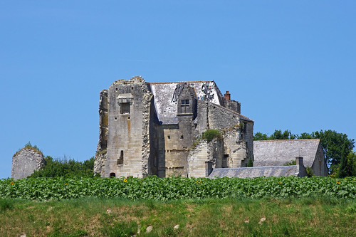 france castle castelo castello château kale 城 castillo burg kasteel zamek 城堡 замок indreetloire κάστρο قلعة crissaysurmanse