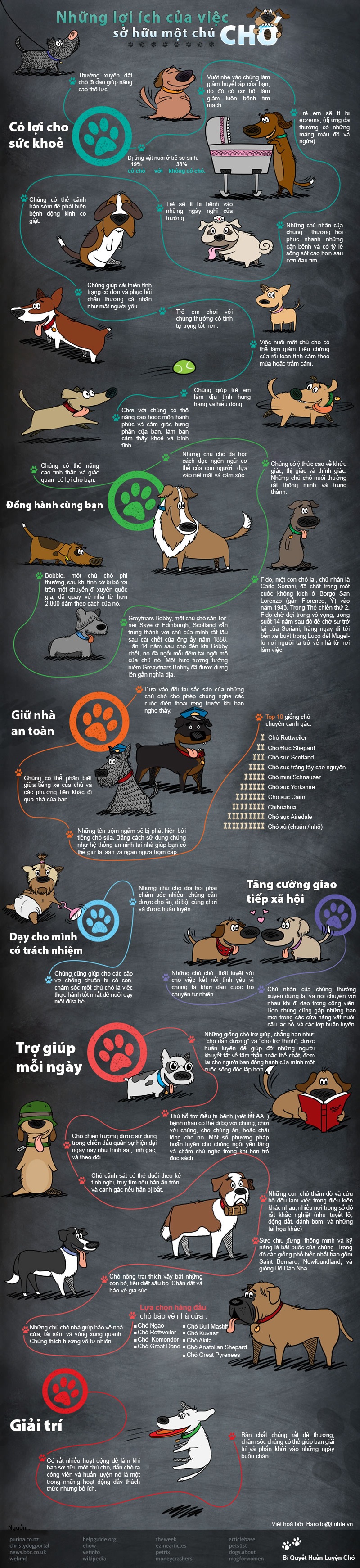 Infographic - 38 lợi ích từ việc nuôi chó 
