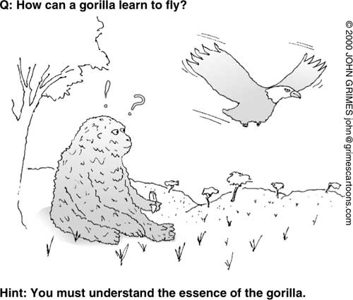 谜语1－大猩猩如何学会飞？