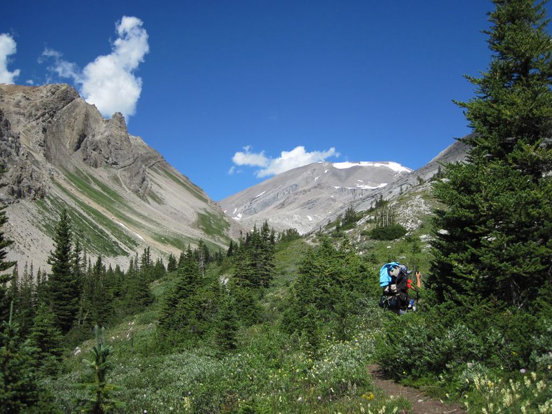 Heading north toward Badger Pass on the Cascade River Trail