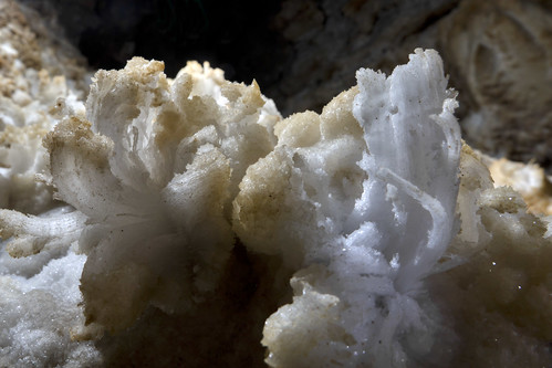 tn crystal tennessee formation mineral cave gypsum warrencounty cumberlandcaverns crystalchasm