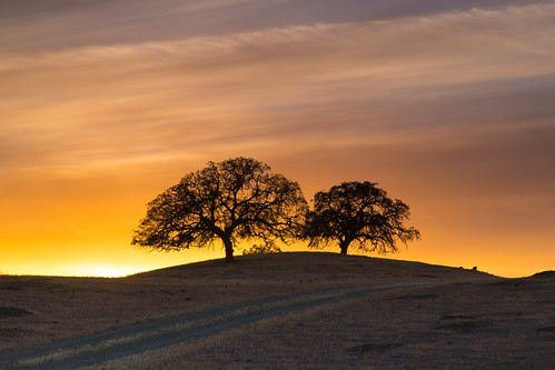 sunset night rural cloudy oaktree sanbenitocounty pwlandscape canon5dmarkiii renerodriguezphotography