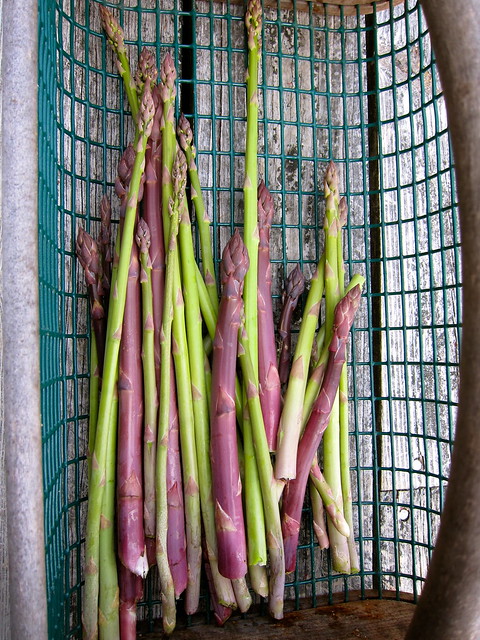 5.19.14 Asparagus — Roasted with Green Garlic