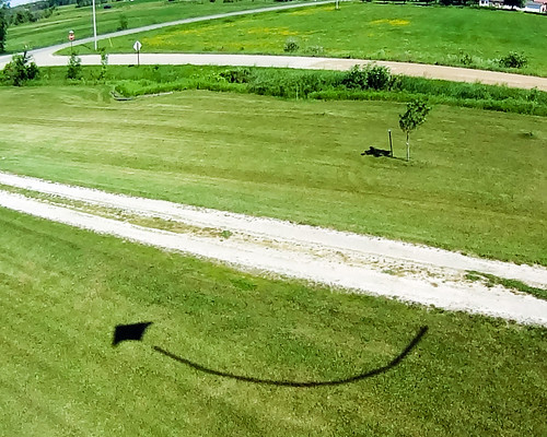 summer kite smile michigan sony july aerial kap upnorth prescott selfie 2014 picavet cs5 hdras30v
