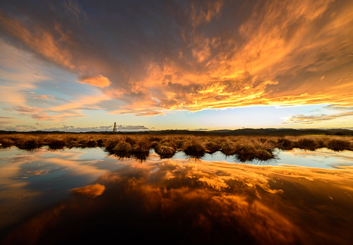 light sunset newzealand sky water clouds dusk bayview tarn tussock napier hawkesbay foehn