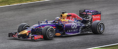 Daniel Ricciardo - Infiniti Red Bull