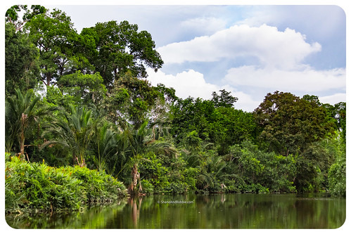beaufort sabah malaysia my borneo river safari garema kilas wetland