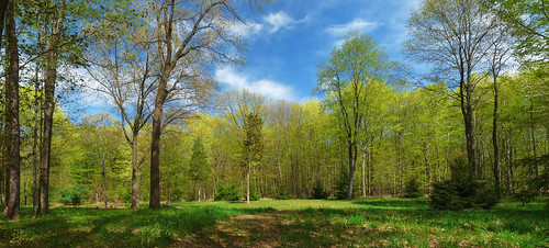 park panorama usa spring stitch connecticut 06037 johnjmurphyiii hungerfordpark