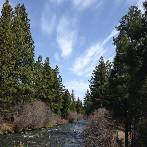 Whychus Creek, near Sisters, Oregon