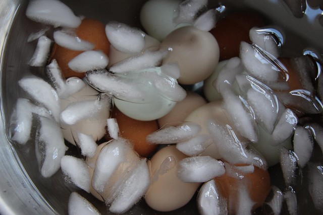 how to hard boil fresh eggs (that actually peel easily)