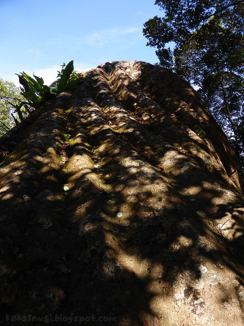 32 Bukit Serumbu Summit Rock