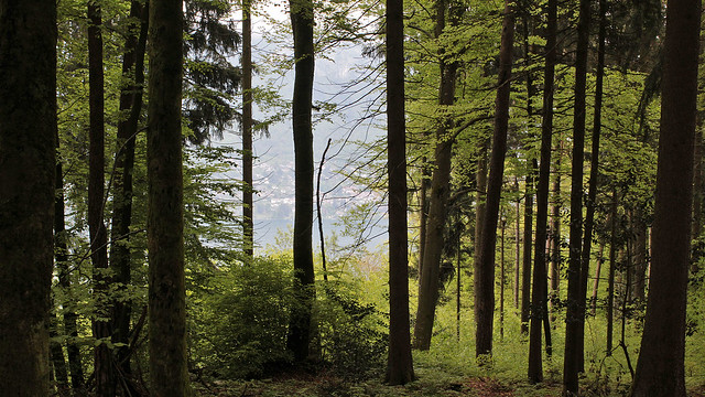 Hiking Annecy-Sévrier