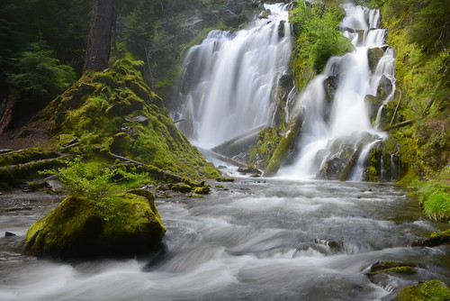 usa green oregon creek landscape waterfall long exposure pacific northwest or falls national pnw
