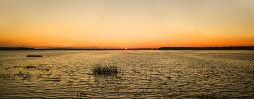 florida myakkariverstatepark uppermyakkalake sunset sun water lake wildlife plants evening
