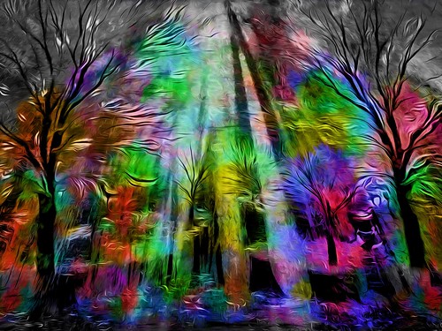 forest trees streaming sunlight dark damp woods color black white photoshop flickr google daum yahoo bing image stumbleupon facebook national geographic magazine getty archives contrast colorful imagination dementia crazy unique montage compilation saturation bw imaginztion colors bright light cheerful happy hue blend rich real composite changed better best favorite comment choice newsweek time museum quality modern art digitalart photo pin android colourful red blue green air eye landscape interesting creative surreal avant guarde pinterest