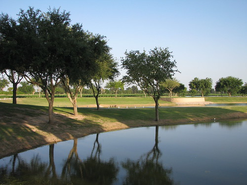 bridge water river golf texas ducks palmtrees golfball bananatree brownsville segopalm riogranderiver resaca