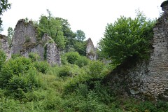 château de Lavauguyon overgrown - Photo of Mouzon