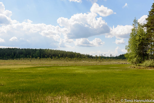 nature finland nikon swamp fi ruovesi siikaneva pirkanmaa d7100 soidensuojelualue