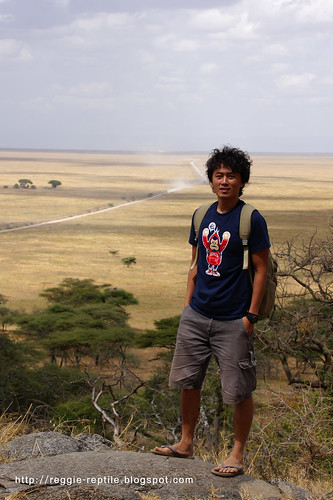 Reggie in Serengeti
