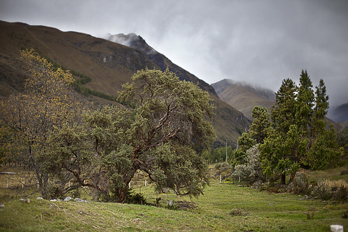 Cajas National Park, Ecuador