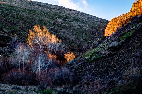 umtanumcanyon yakima washington unitedstates us landscape sunrise morninglight desert aspen