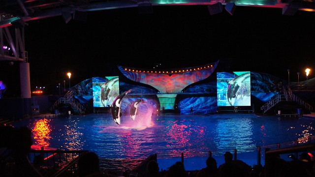 SeaWorld Orlando Summer 2014