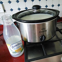 Versuchsanordnung Dulce de Leche aus dem Crockpot #homemade