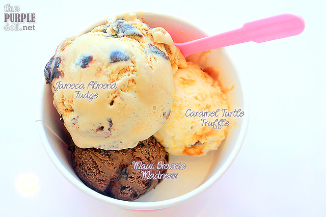 Jamoca Almond Fudge, Maui Brownie Madness and Caramel Turtle Truffle (Junior Triple P195)