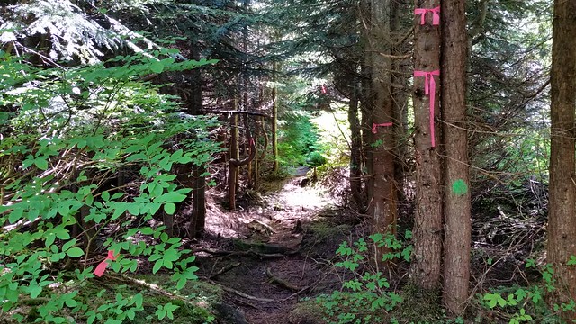 Start of trail to Coquitlam Trails