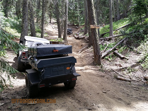 Trail Report: Weekend at Manastash Ridge | Off-road Vegan