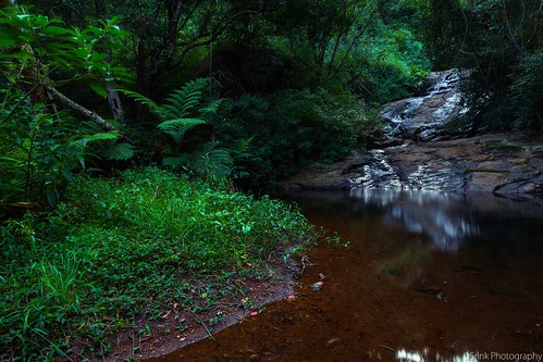 river stream silence ooty waterscape kotagiri