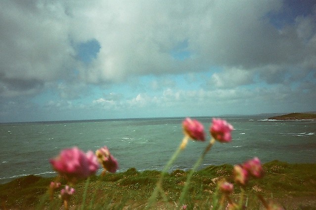 Newquay Fistral with flowers