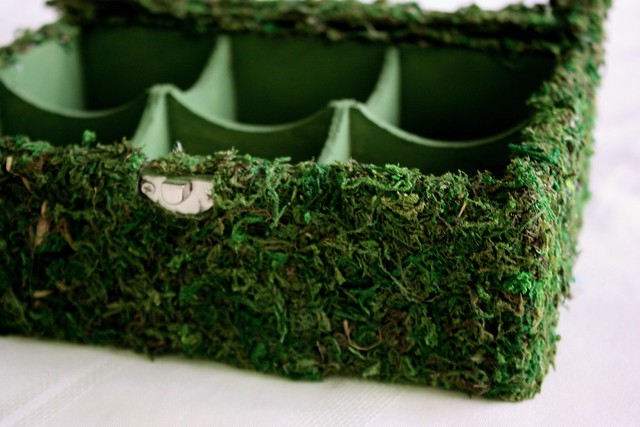 moss-covered-display-box