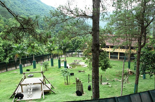 An enclosure at Animals Asia's Vietnam Bear Rescue Centre 2014