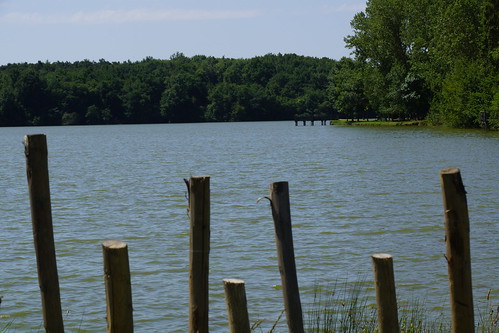 eau lac poteau bois barrière