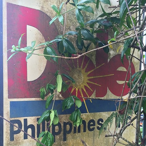 sign square asia philippines pineapple squareformat plantation tropical weathered cannery dole mindanao piña polomolok southcotabato dilipadated iphoneography instagramapp