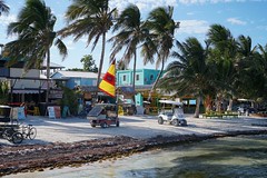 Caye Caulker Belize