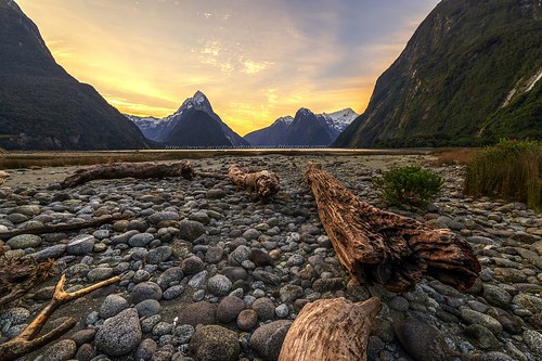 wood sunset newzealand rock log nikon pebble driftwood lowtide milfordsound hdr southland fiordland d600