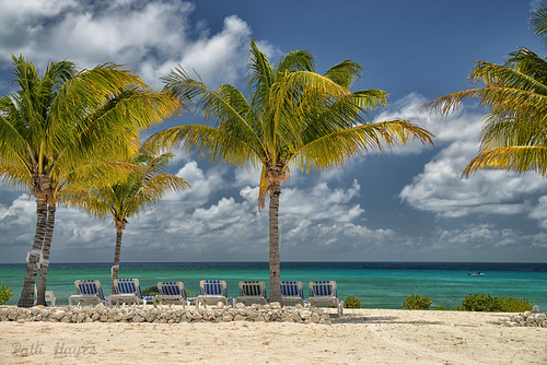 ocean trees sea sky beach palm tropical caribbean
