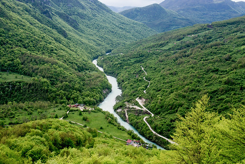 wood mountain green canon river tara rafting montenegro piva drina