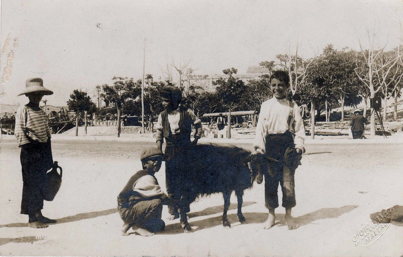 Boys and a goat at Sa Maison  Malta, 1920.  Photo by Cassar Studios