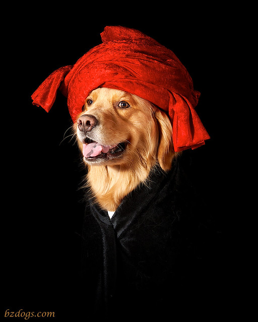 Portrait of Dog in a Red Turban