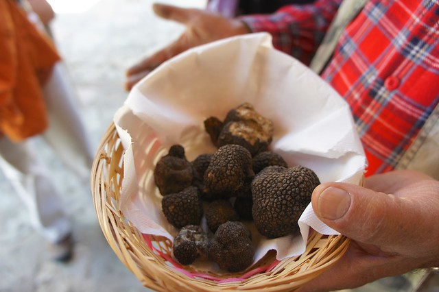 black-truffles-patrico-umbria-italy-cr-brian-dore