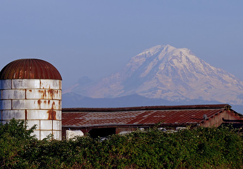 mountain barn volcano silo washingtonstate mtrainier auburnwa shesnuckinfuts july2014