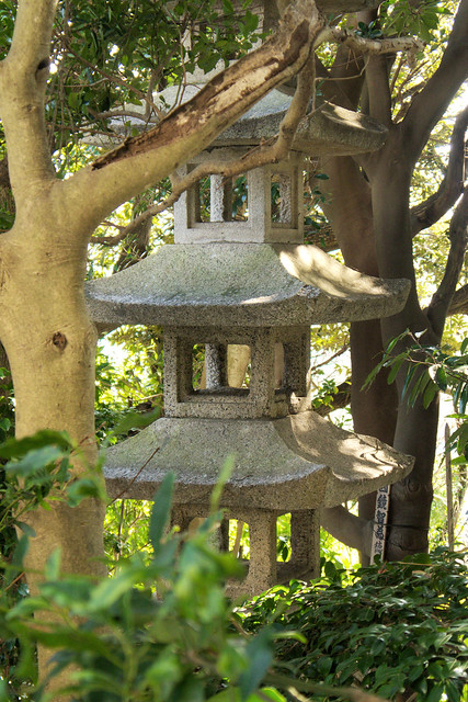 Pagoda in the wood