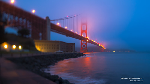 San Francisco Morning Fog