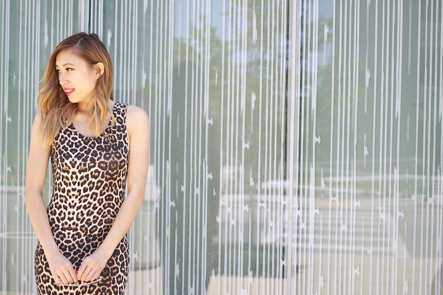 lucky magazine contributor,fashion blogger,lovefashionlivelife,joann doan,style blogger,stylist,what i wore,my style,fashion diaries,outfit,how to wear leopard,midi dress,charlotte russe,summer style,leopard dress,fashion tip,style tip